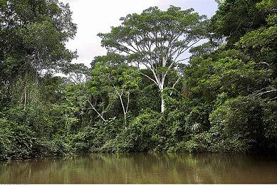 《潜行者2》1.0.3更新上线：修复任务和存档相关问题